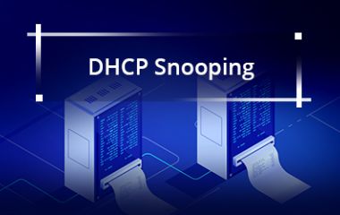 DHCP Snooping